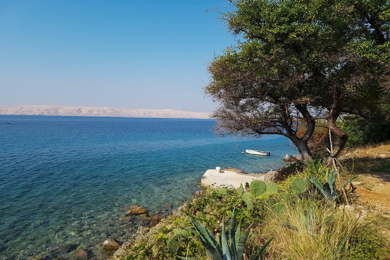 Beachfront House Ivana With Pool - Renovated 2025 Cesarica Esterno foto