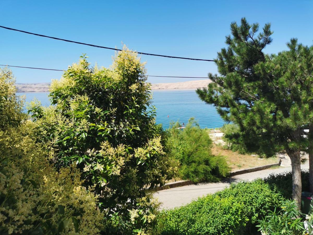 Beachfront House Ivana With Pool - Renovated 2025 Cesarica Esterno foto